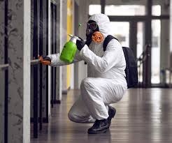 Why You Should Choose Our Mold Remediation Services in Linda, CA